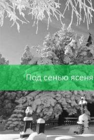 Андрей Ястребов читать онлайн Под сенью ясеня