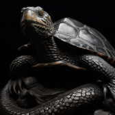 Чёрная черепаха со змеёй 玄武